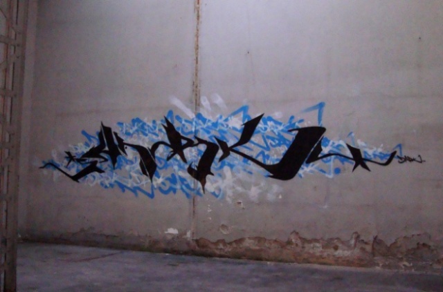 dsc02939_flog