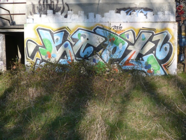 p1010693