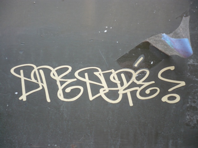 p1020085