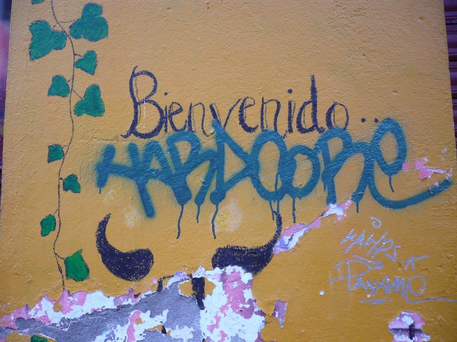 p1030070